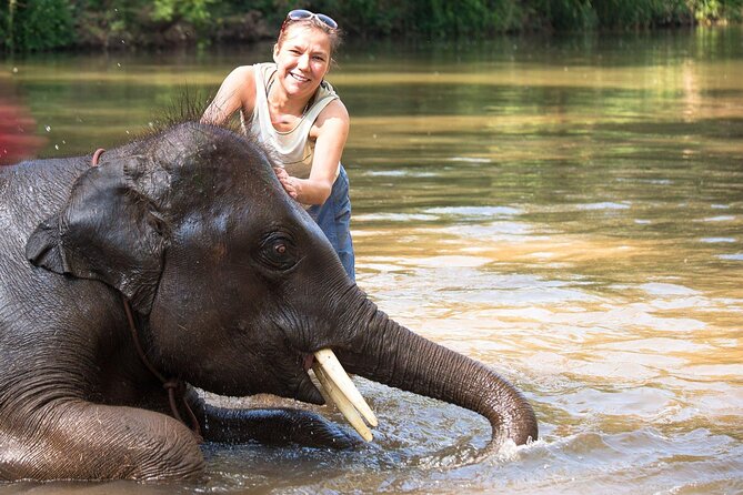 Chitwan National Park Tour - Why Chitwan works as a short Nepal add-on