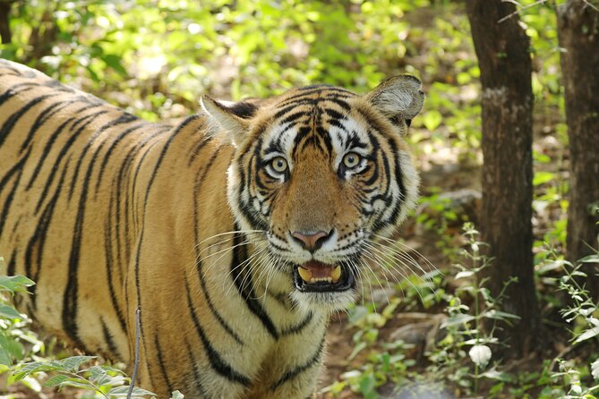 Chitwan National Park Tour - The early road from Kathmandu to Chitwan