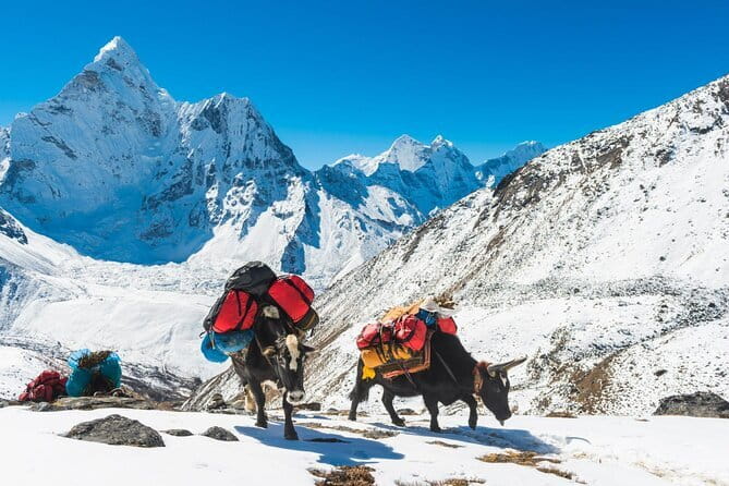 Dancing in the Manaslu Circuit Trek - Days 8 and 9: Toward Dharamsala and Larkya Glacier