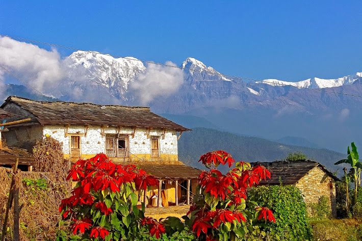 Day Hike at Annapurna Foothills - Dhampus to Phedi, the long downhill finish