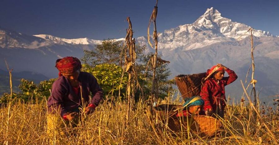 Day Hike at Annapurna Foothills - Who should book this day hike