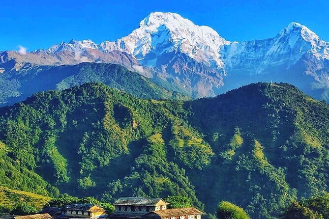 Easy Day Hiking to Australian Camp from Pokhara - From Dhampus to Phedi, then back to Pokhara