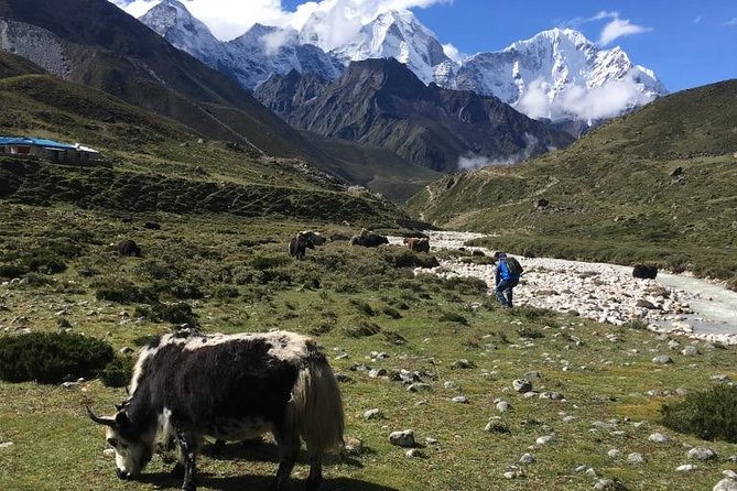 Everest Base Camp Helicopter Tour landing at Everest View Hotel - The return flight and flexible timing