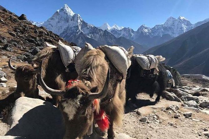 Everest Base Camp Trek 12 Days – Best Himalayan Adventure - Namche Bazaar, the first major mountain stop