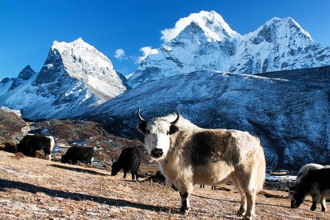 Everest Base Camp Trek with Helicopter Return from Gorakshep to Lukla - Key points before you book