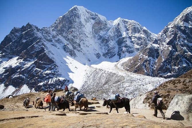 Everest Base Camp Trek with Helicopter Return to Lukla - 10 Days - Key points to know before booking