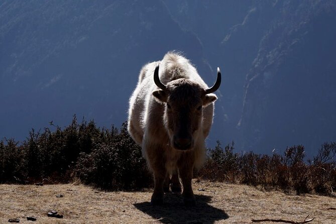 Everest Base Camp Trekking - 2025/2026 - Gorak Shep and Everest Base Camp are the main event