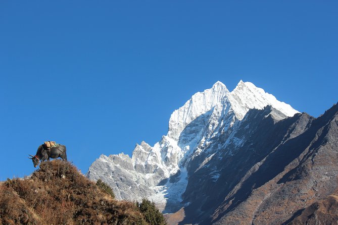 Everest Three Pass Trek - Days 8 and 9: Gorakshep and the Kala Patthar sunrise