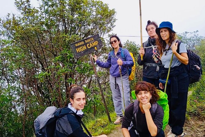 Experience Mardi Himal Trek - Day four, the 4,500-meter Base Camp push