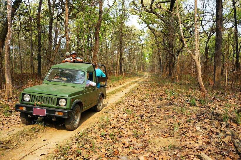 From Kathmandu/Pokhara: 2, 3, or 4-Day Chitwan Jungle Safari - Reaching Chitwan from Kathmandu or Pokhara