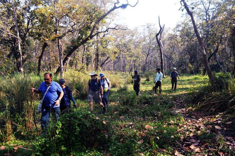From Kathmandu/Pokhara: 2, 3, or 4-Day Chitwan Jungle Safari - Your first afternoon in Chitwan
