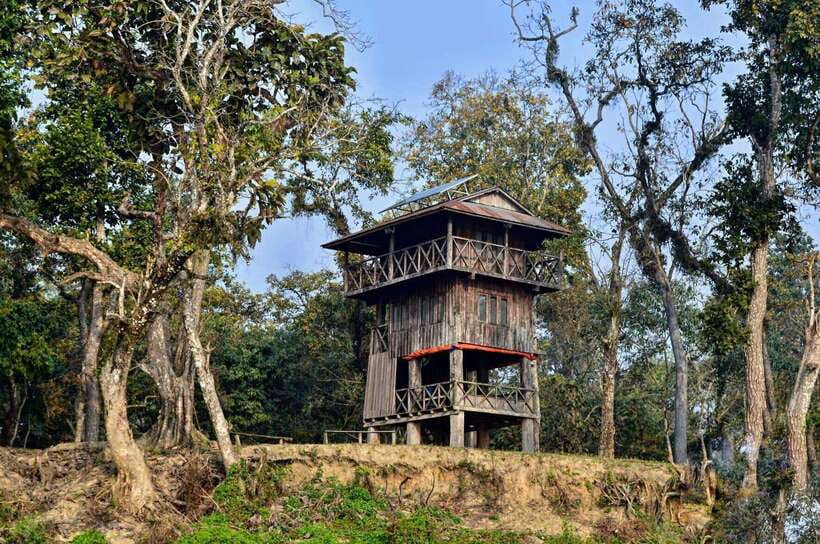 From Kathmandu/Pokhara: 2, 3, or 4-Day Chitwan Jungle Safari - Conservation centers and the park’s wider story