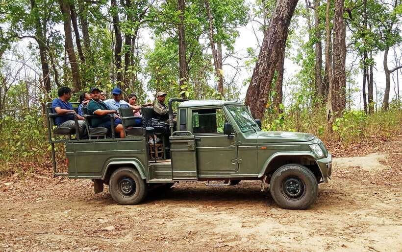 From Kathmandu/Pokhara: 2, 3, or 4-Day Chitwan Jungle Safari - The forest tower on the 4-day option