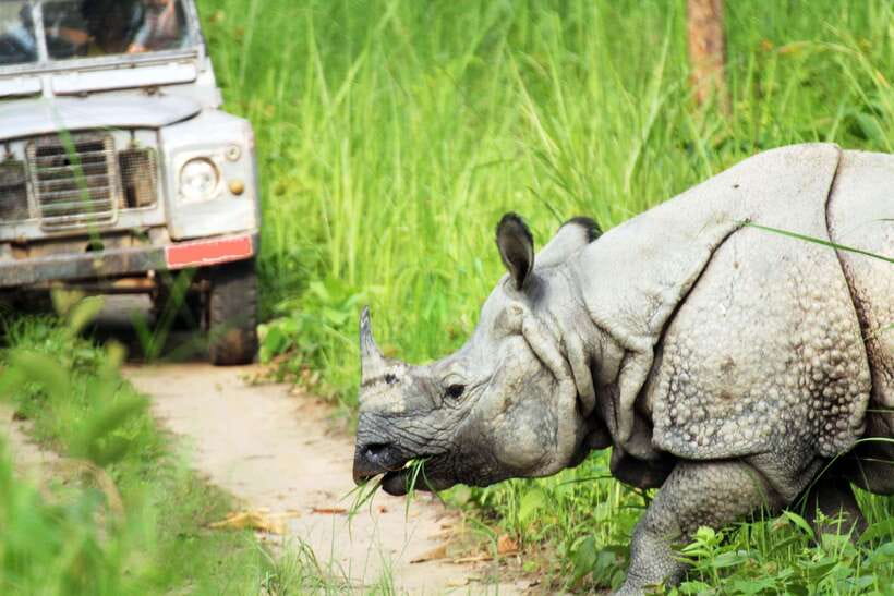 From Kathmandu/Pokhara: 2, 3, or 4-Day Chitwan Jungle Safari - What the $35 price really means