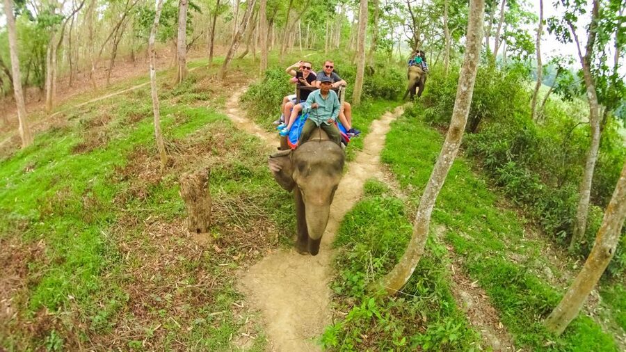 From Kathmandu/Pokhara: 3-Day All-Inclusive Chitwan Safari - Day one: Tharu culture after the bus journey