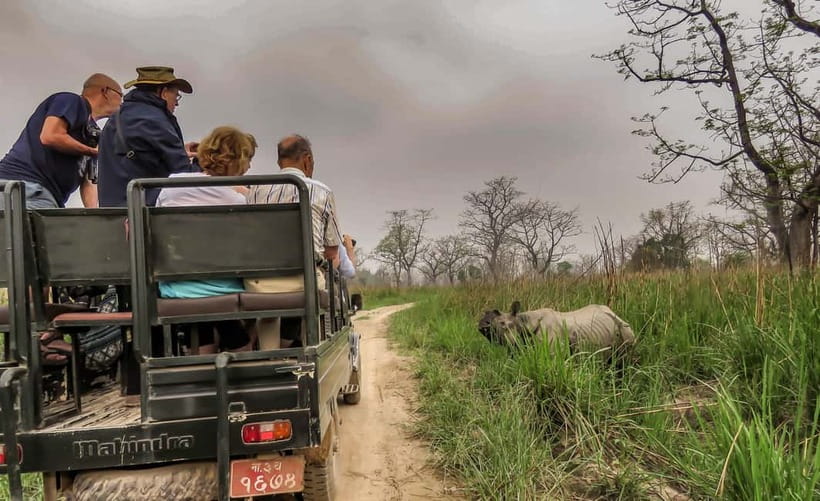 From Kathmandu/Pokhara: 3-Day Chitwan National Park Tour - Afternoon jeep safari in Chitwan National Park