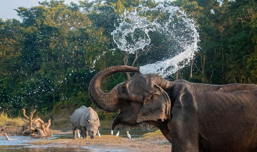 From Kathmandu/Pokhara: 3-Day Chitwan National Park Tour - Food, lodging, and what the $136 covers