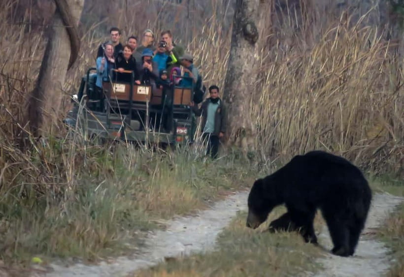 From Kathmandu/Pokhara: 3-Day Chitwan National Park Tour - The five to six hour road trip to Sauraha