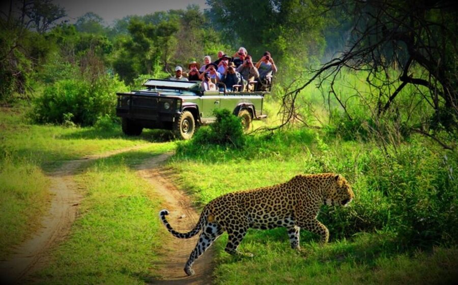 From Kathmandu/Pokhara: Private 3-Day Chitwan Safari Tour - Key points to know before booking