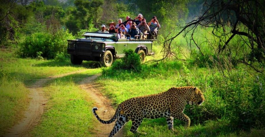 From Kathmandu/Pokhara: Private 3-Day Chitwan Safari Tour - Why Chitwan makes a good three-day break