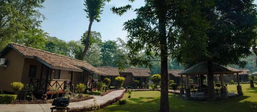 From Kathmandu/Pokhara: Private 3-Day Chitwan Safari Tour - Day 3: A slower look at the jungle