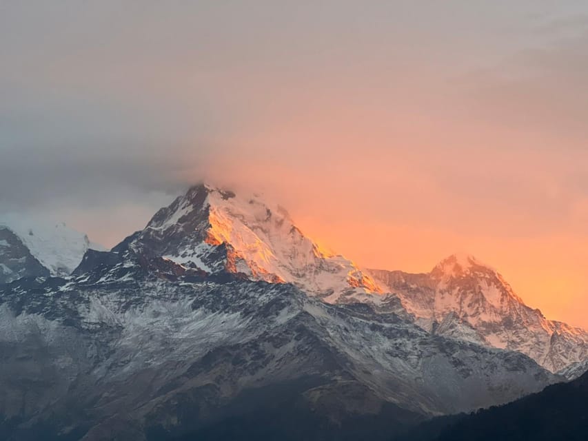 From Pokhara: 2 Day 1 Night Ulleri,Ghorepani Poon Hill Trek - Walking through rhododendron forest to Ghorepani