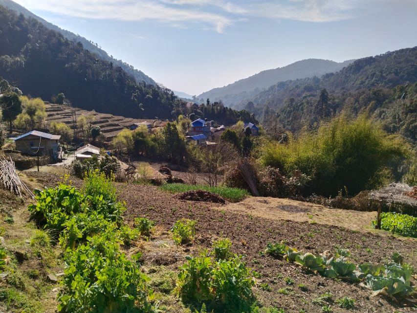 From Pokhara: 4-Day Annapurna and Poon Hill Himalayan Trek - Why Poon Hill works for a four-day Himalayan trek