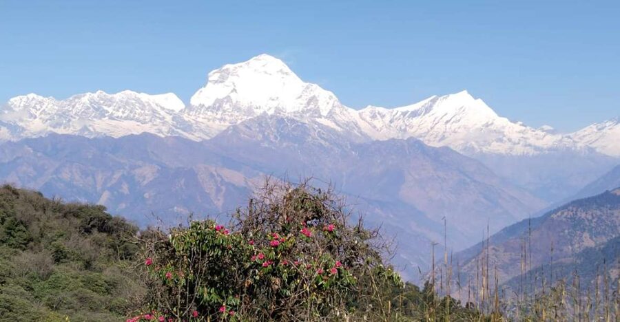 From Pokhara: 4-Day Annapurna and Poon Hill Himalayan Trek - Day three: Jhinu hot springs and Ghandruk’s Gurung setting