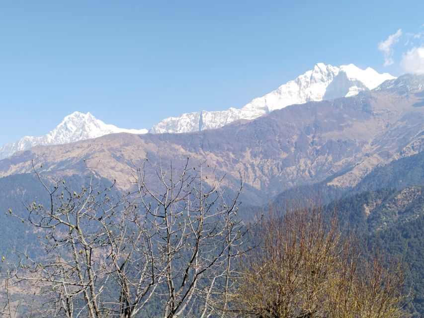From Pokhara: 4-Day Annapurna and Poon Hill Himalayan Trek - Guides, communication, and changing mountain plans