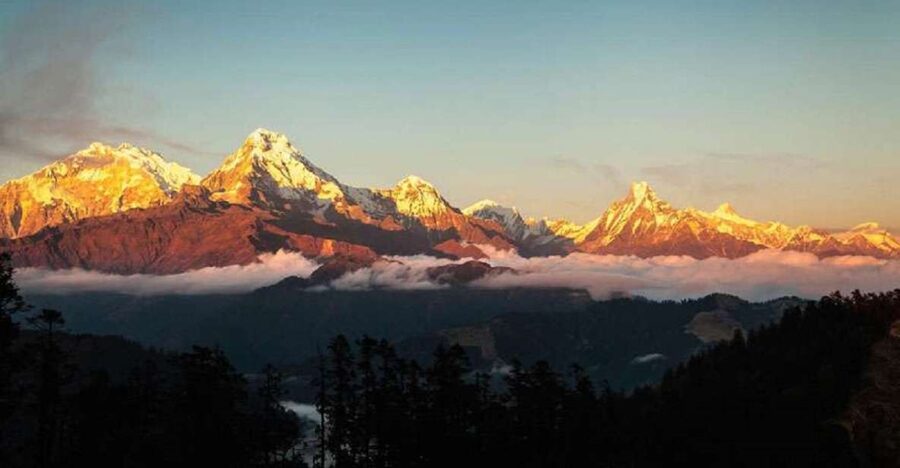 From Pokhara: 5-Day Annapurna Basecamp Trek with Hot Springs - Sinuwa to Deurali through bamboo and rhododendron