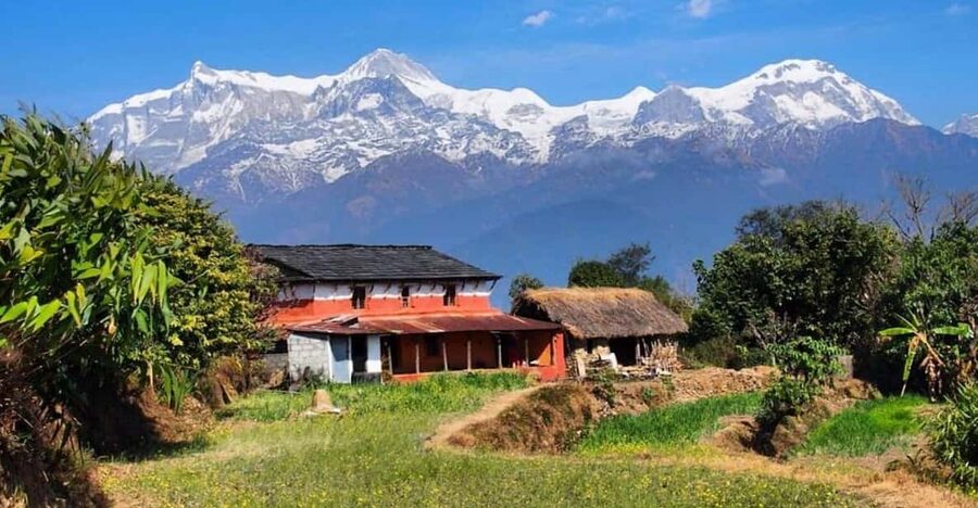 From Pokhara: Annapurna View Day Hike - The forest path from Kande to Australian Camp