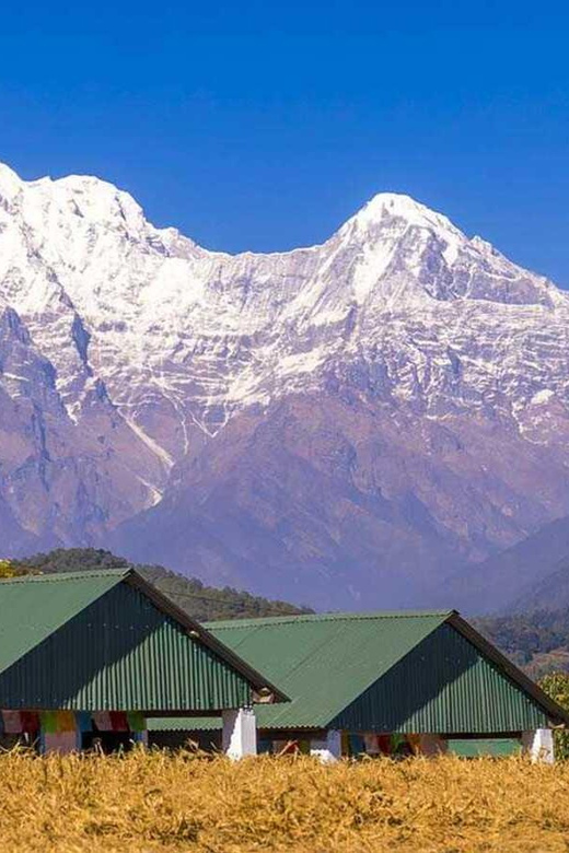 From Pokhara: Annapurna View Day Hike - Descending toward Dhampus Village