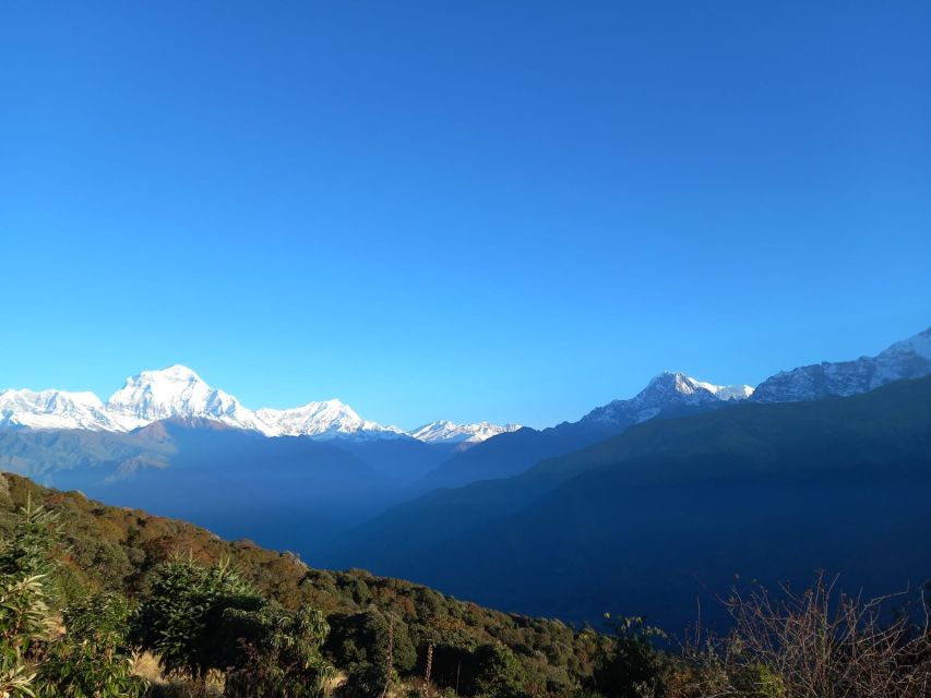 From Pokhara: Australian Camp & Dhampus 1, or 2-Day Trek - Key points to know before you book