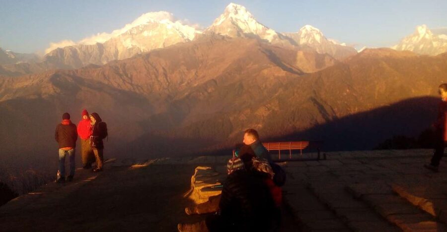 From Pokhara: Budget 2 Night 3 days Poon hill trek - Day two: Tadapani to Ghorepani through the forest