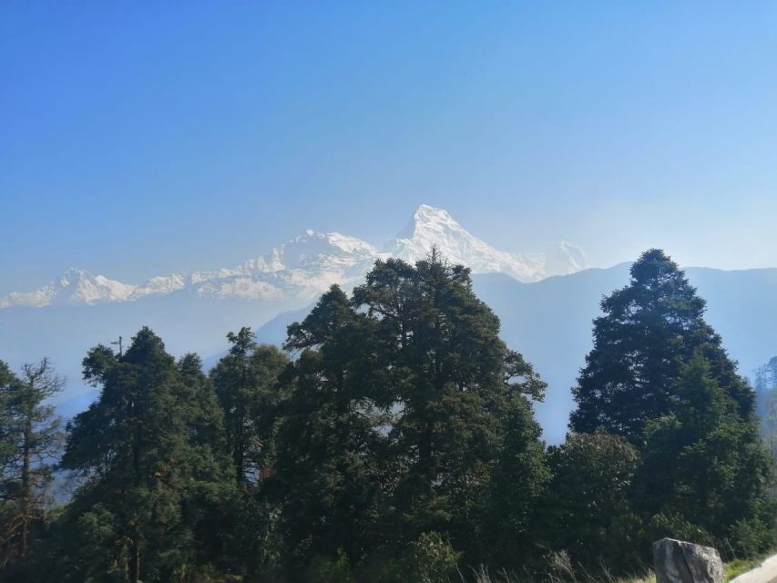 From Pokhara: Budget 2 Night 3 days Poon hill trek - Seasons, weather, and what to pack