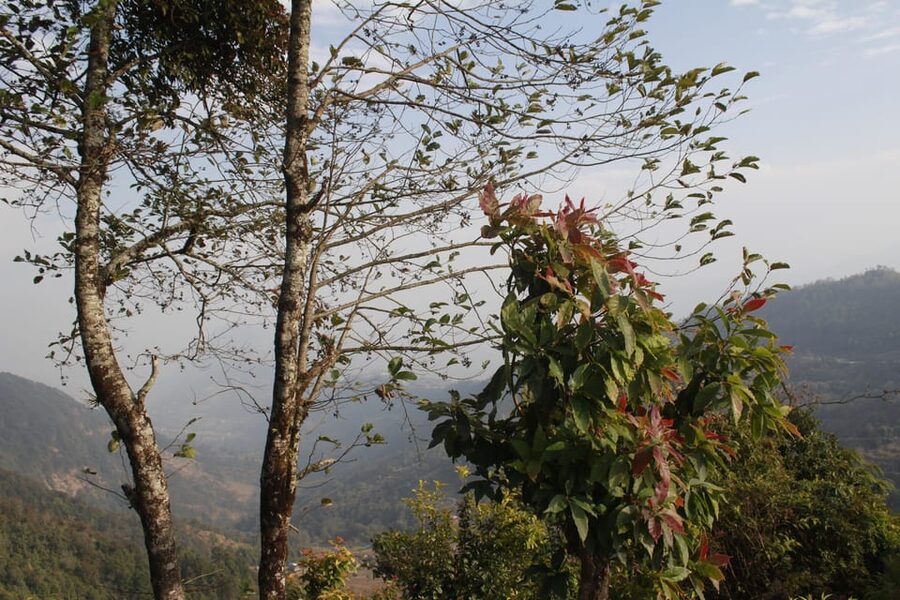 From Pokhara: Day Hiking Australian Camp & Dhampus - Walking onward to Dhampus