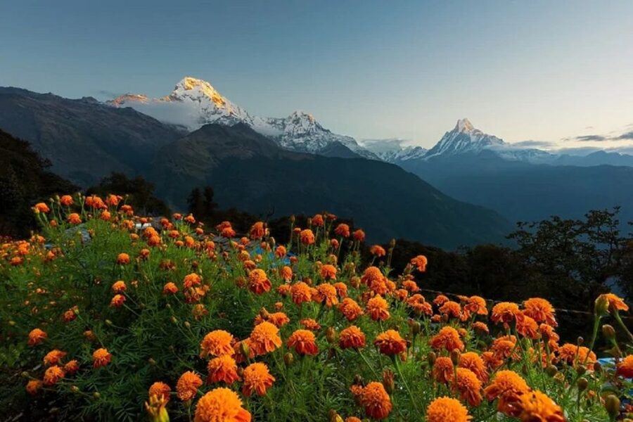 From Pokhara: Guided Tour to Visit 4 Himalayas View Point - A private tour with a useful human touch