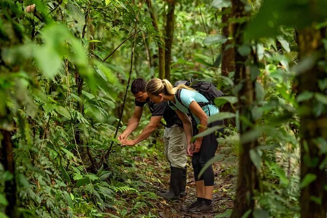 From Pokhara : Hiking to Peace Pagoda via Fewa Lake & Jungle - Who should book this hike?