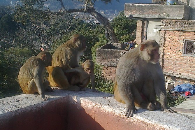 Full Day Kathmandu City Sightseeing Tour of UNESCO Heritage Sites - Boudhanath, the day’s great Buddhist circle