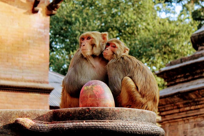Full Day Private Tour of Kathmandu - UNESCO World Heritage Sites - Kathmandu Durbar Square and royal craftsmanship