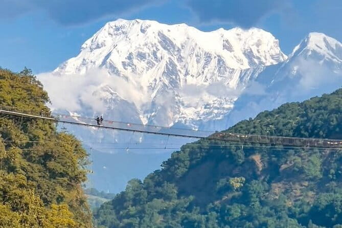 Full day Suspension Bridge, Boating, George, Sightseeing Tour - Key points to know before you book