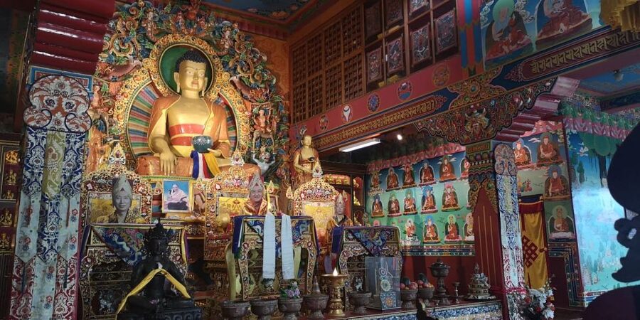 Full Day Tibetan Cultural Tour - Meeting a Tibetan doctor and learning about diagnosis