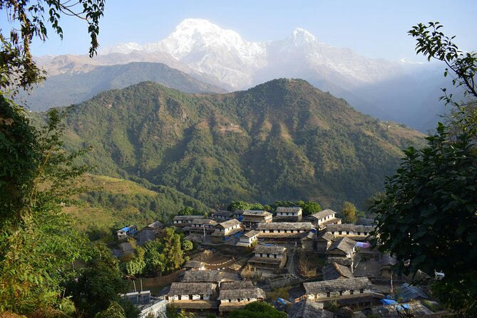 Ghorepani Ghandruk Wellness Yoga Trek - Day 3: Yoga, Pokhara, and a change of pace
