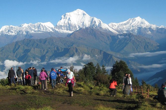 Ghorepani - Poon Hill Trek 3N-4D - Forest trails and the descent from Tadapani