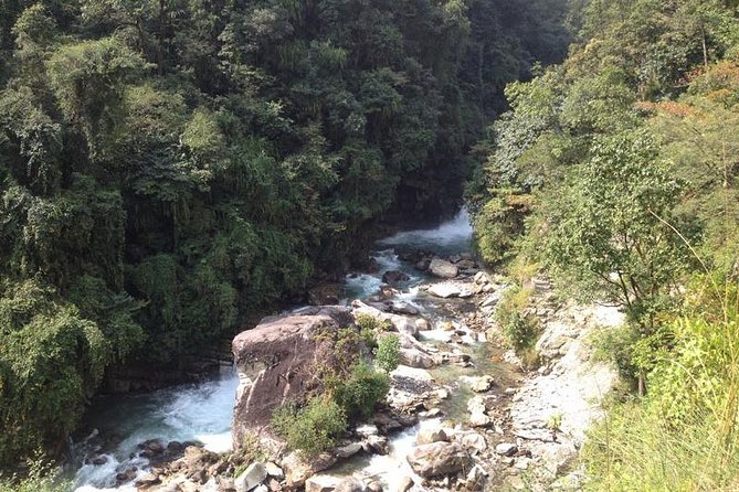 Ghorepani Poon Hill Trek - Day 4: Downhill through forest to Gurung Ghandruk
