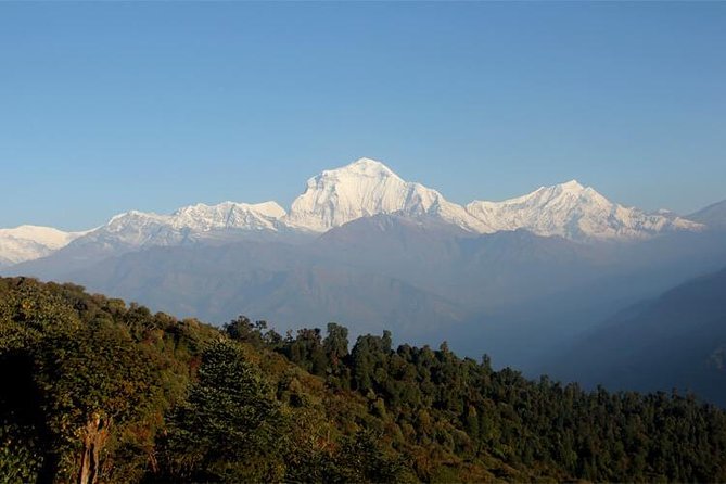 Ghorepani Poon Hill Trek - Difficulty, altitude, and who should book
