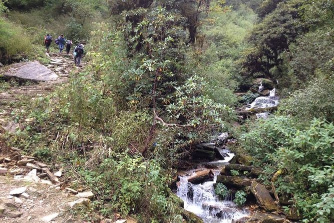Ghorepani Poon Hill Trek - Day 2: Ulleri, Bhanthati, and the forest route