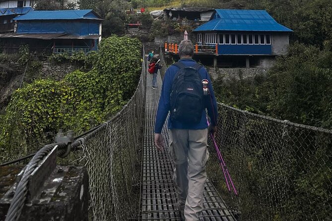 Ghorepani Poonhill Private Trek - 2 nights / 3 days - Day three: Poon Hill sunrise and the ride back to Pokhara