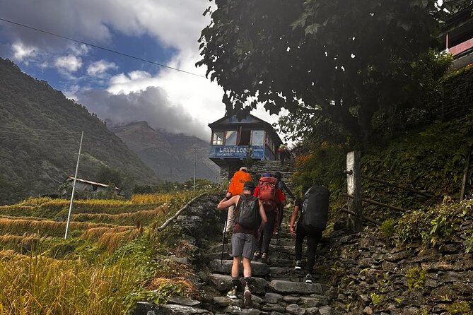 Ghorepani Poonhill Private Trek - 2 nights / 3 days - Who will enjoy this route most