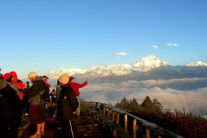Ghorepani Poonhill Trek 5 Days from Pokhara - Key points to know before you book